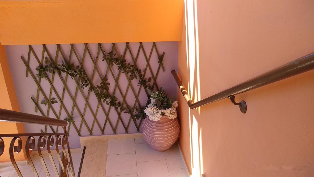 Gogo's - γωγώ & * Nydri (Lefkada)